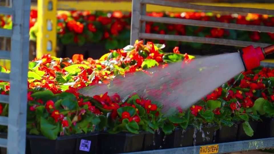 Perricone Garden Center promo by RECON Media